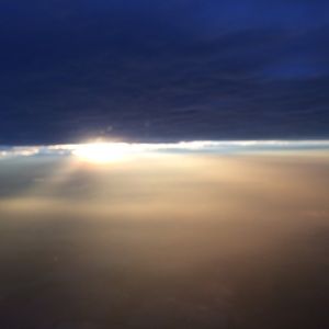 Meet your Posher, Joey